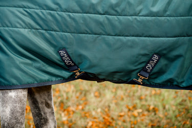 Horseware Ireland Amigo Ripstop Insulator Stable Rug 350G Dynasty Green / Navy & Silver| Online For Equine