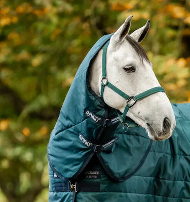 Buy Horseware Ireland Amigo Ripstop Insulator Stable Rug Hood 200G Dynasty Green / Navy & Silver | Online for Equine
