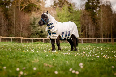 Horseware Ireland Amigo Ripstop Petite Hoody Silver/ Lime/ Pink| Online For Equine