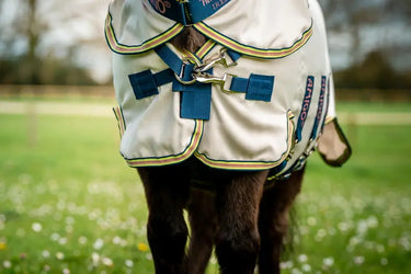 Horseware Ireland Amigo Ripstop Petite Hoody Silver/ Lime/ Pink| Online For Equine