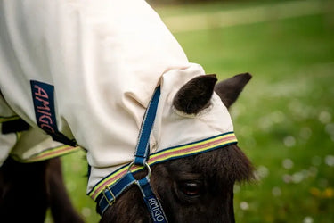 Horseware Ireland Amigo Ripstop Petite Hoody Silver/ Lime/ Pink| Online For Equine