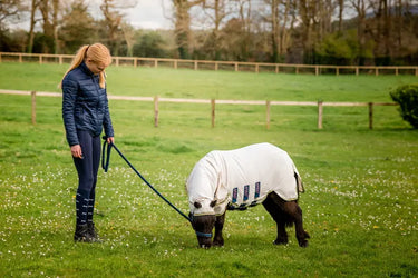 Horseware Ireland Amigo Ripstop Petite Hoody Silver/ Lime/ Pink| Online For Equine