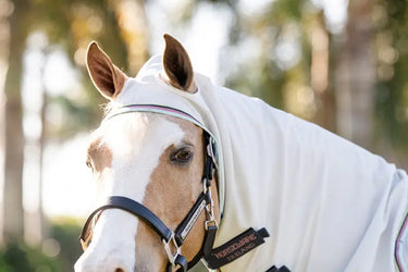 Horseware Ireland Amigo Ripstop Pony Hoody Silver / Lime, Navy, Pink & Blue| Online For Equine