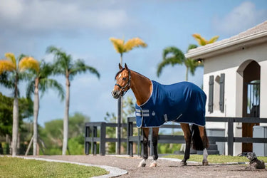 Horseware Ireland Amigo Stable Rug Sheet| Online For Equine