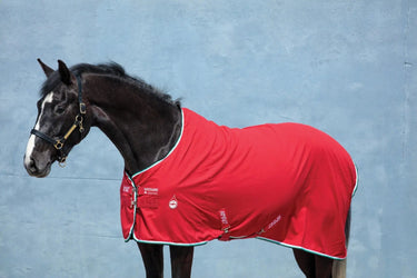 Buy Horseware Ireland Amigo Stable Sheet| Online for Equine