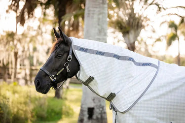 Horseware Ireland Amigo Summer Sheet Plus Rug| Online For Equine