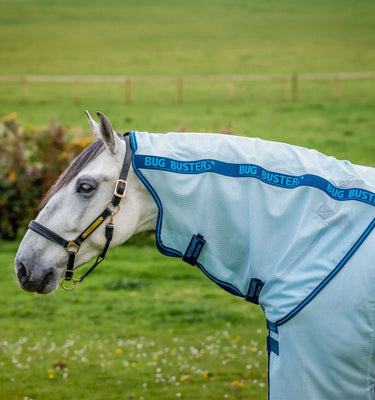 Horseware Ireland Azure Blue/Navy & Electric Blue Amigo Bug Buster Hood| Online For Equine