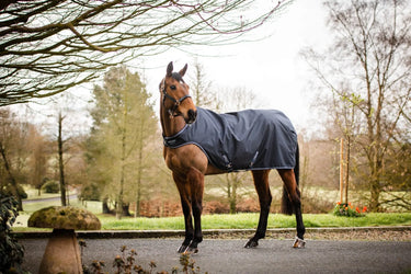 Buy Horseware Ireland Amigo Lite Walker Rug| Online for Equine