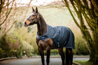 Buy Horseware Ireland Amigo Lite Walker Rug| Online for Equine