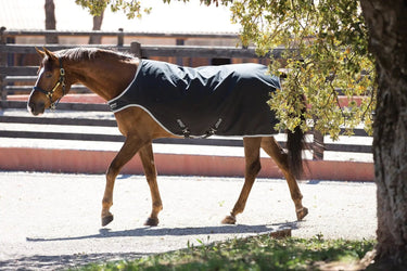 Buy Horseware Ireland Amigo Lite Walker Rug| Online for Equine
