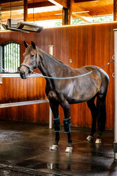 Horseware Ireland Black/Aqua Ice-Vibe Cold Packs - Knee (Pk of 6 Pairs)| Online For Equine