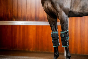 Horseware Ireland Black/Aqua Ice-Vibe Cold Packs - Knee (Pk of 6 Pairs)| Online For Equine