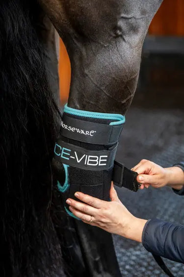 Horseware Ireland Black/Aqua Ice-Vibe Hock Wrap| Online For Equine