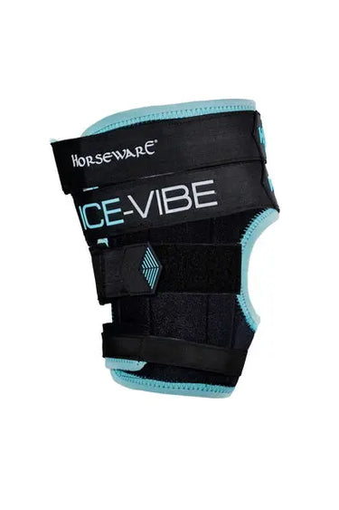 Horseware Ireland Black/Aqua Ice-Vibe Hock Wrap| Online For Equine