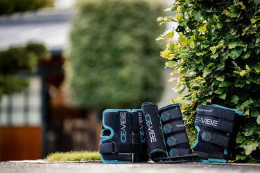 Horseware Ireland Black/Aqua Ice-Vibe Hock Wrap| Online For Equine