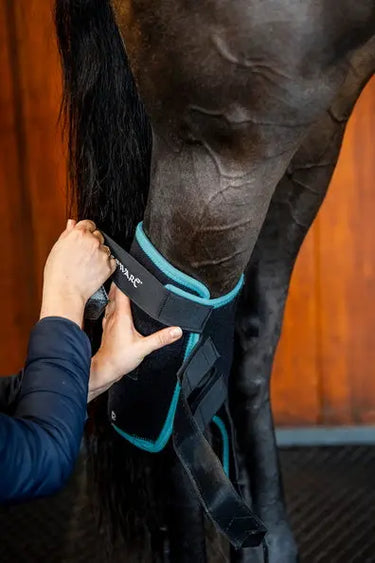Horseware Ireland Black/Aqua Ice-Vibe Hock Wrap| Online For Equine
