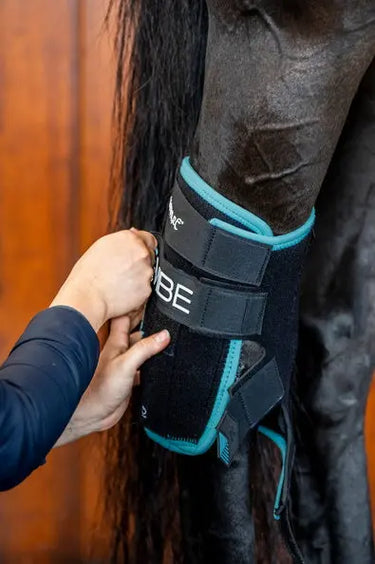 Horseware Ireland Black/Aqua Ice-Vibe Hock Wrap| Online For Equine