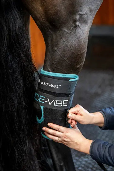 Horseware Ireland Black/Aqua Ice-Vibe Hock Wrap| Online For Equine