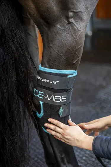 Horseware Ireland Black/Aqua Ice-Vibe Hock Wrap| Online For Equine
