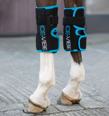 Horseware Ireland Black/Aqua Ice-Vibe Knee Wrap| Online For Equine