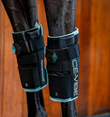 Horseware Ireland Black/Aqua Ice-Vibe Knee Wrap| Online For Equine