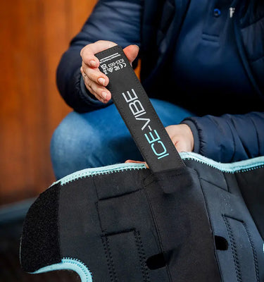 Horseware Ireland Black/Aqua Ice-Vibe Knee Wrap| Online For Equine