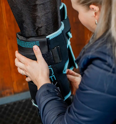 Horseware Ireland Black/Aqua Ice-Vibe Knee Wrap| Online For Equine