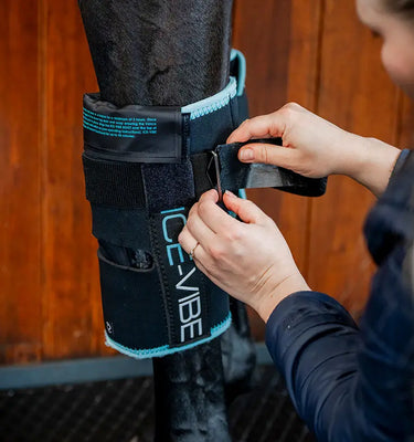 Horseware Ireland Black/Aqua Ice-Vibe Knee Wrap| Online For Equine