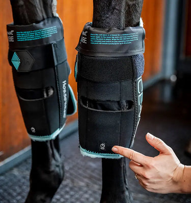 Horseware Ireland Black/Aqua Ice-Vibe Knee Wrap| Online For Equine