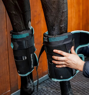 Horseware Ireland Black/Aqua Ice-Vibe Knee Wrap| Online For Equine