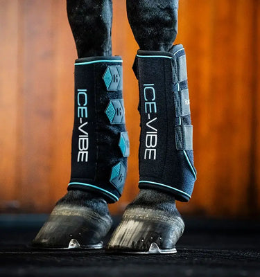 Horseware Ireland Black/Aqua Ice-Vibe Leg Wraps| Online For Equine