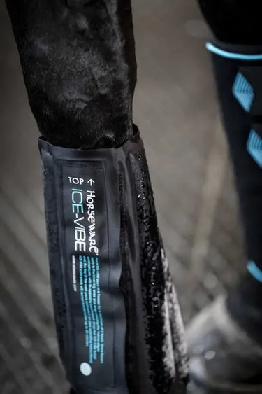 Horseware Ireland Black/Aqua Ice-Vibe Leg Wraps| Online For Equine