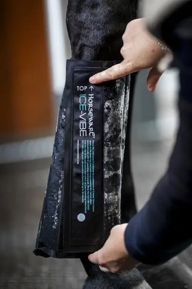 Horseware Ireland Black/Aqua Ice-Vibe Leg Wraps| Online For Equine