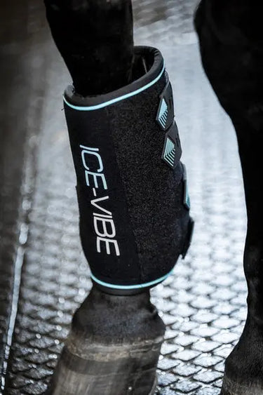Horseware Ireland Black/Aqua Ice-Vibe Leg Wraps| Online For Equine