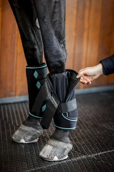 Horseware Ireland Black/Aqua Ice-Vibe Leg Wraps| Online For Equine