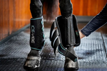 Horseware Ireland Black/Aqua Ice-Vibe Leg Wraps| Online For Equine