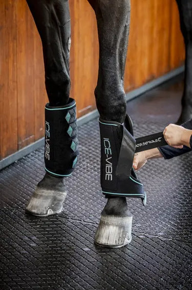 Horseware Ireland Black/Aqua Ice-Vibe Leg Wraps| Online For Equine