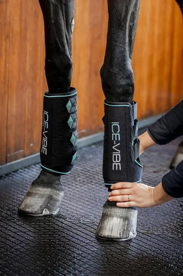 Horseware Ireland Black/Aqua Ice-Vibe Leg Wraps| Online For Equine