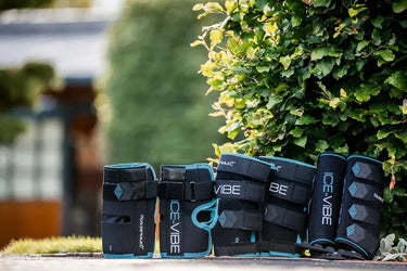 Horseware Ireland Black/Aqua Ice-Vibe Leg Wraps| Online For Equine