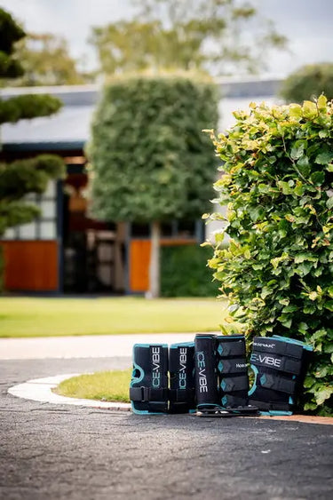 Horseware Ireland Black/Aqua Ice-Vibe Leg Wraps| Online For Equine