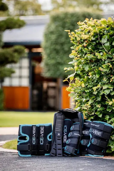Horseware Ireland Black/Aqua Ice-Vibe Leg Wraps| Online For Equine