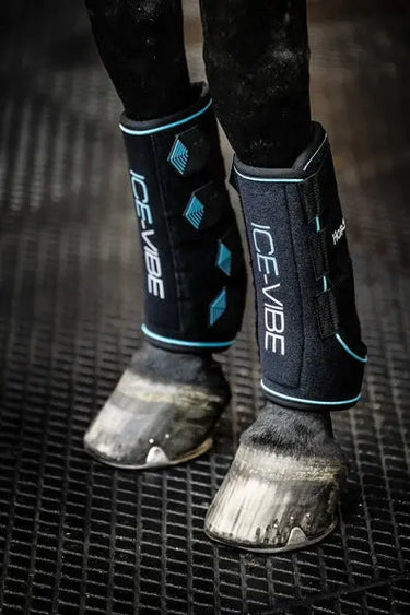 Horseware Ireland Black/Aqua Ice-Vibe Leg Wraps| Online For Equine
