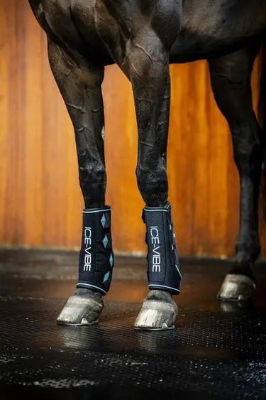 Horseware Ireland Black/Aqua Ice-Vibe Leg Wraps| Online For Equine