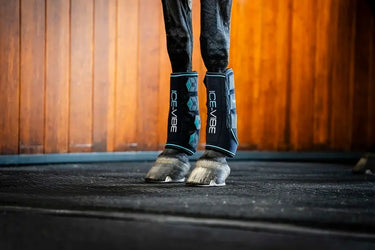 Horseware Ireland Black/Aqua Ice-Vibe Leg Wraps| Online For Equine