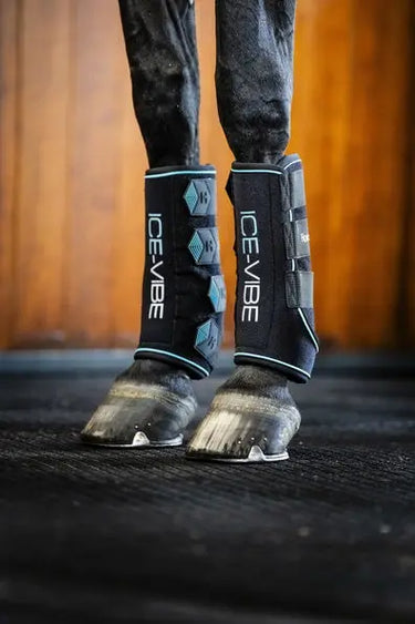 Horseware Ireland Black/Aqua Ice-Vibe Leg Wraps| Online For Equine