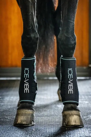 Horseware Ireland Black/Aqua Ice-Vibe Leg Wraps| Online For Equine