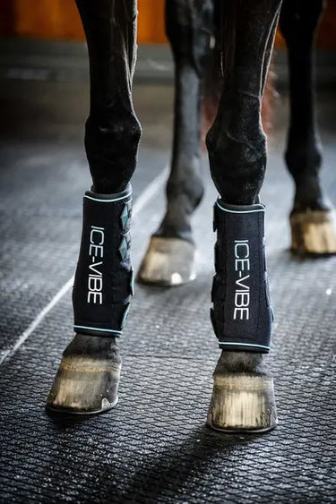 Horseware Ireland Black/Aqua Ice-Vibe Leg Wraps| Online For Equine