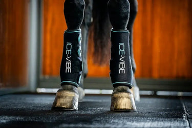 Horseware Ireland Black/Aqua Ice-Vibe Leg Wraps| Online For Equine