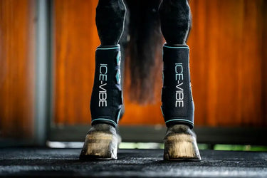 Horseware Ireland Black/Aqua Ice-Vibe Leg Wraps| Online For Equine