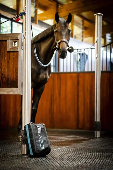 Horseware Ireland Black/Aqua Ice-Vibe Leg Wraps| Online For Equine